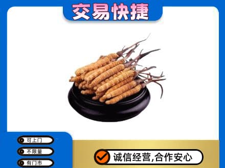 洛阳市宜阳礼品回收散虫草.jpg